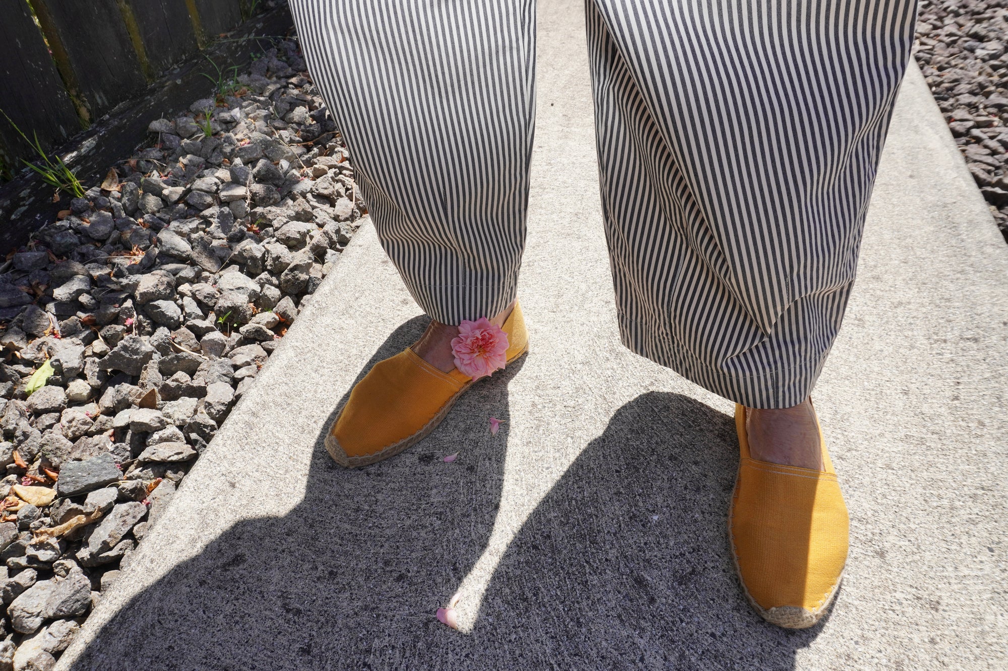 TOKYO TROUSER Beige Brown Stripe Cotton